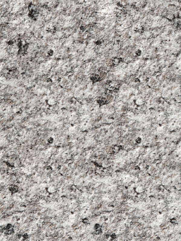   Shell Gray  GT-004 